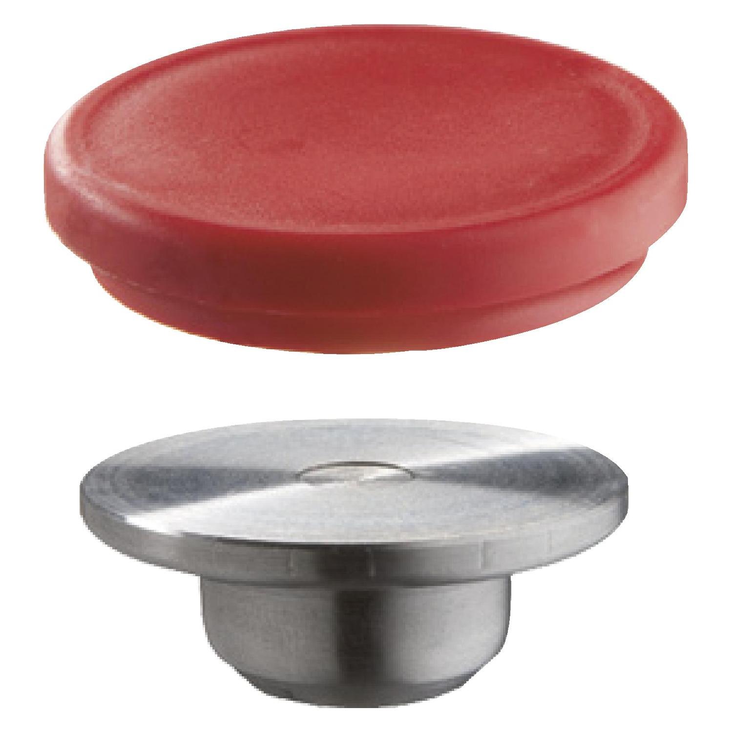 Bessey Wechselbare Druckplatte (TG / (30 mm) (3101183)