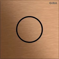Gira Sprachmodul System 106 5563921