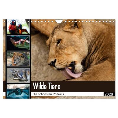 Wilde Tiere - Die schönsten Portraits (Wandkalender 2026 DIN A4 quer), CALVENDO Monatskalender