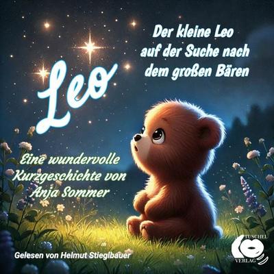 Der kleine Leo auf der Suche nach dem großen Bären - Anja Sommer, 9783911390347