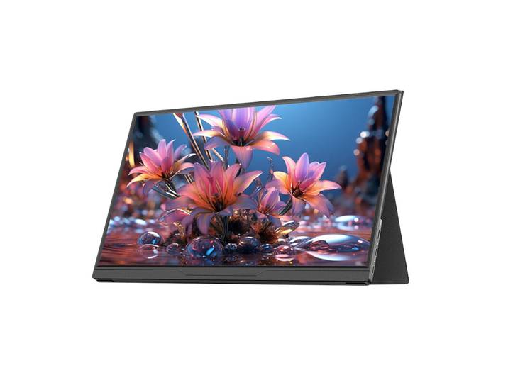 Lepow Moniteur portable 15,6 pouces – Écran IPS HD, interface Type-C, design ultra-fin, compatible avec plusieurs appareils, HC-L156A