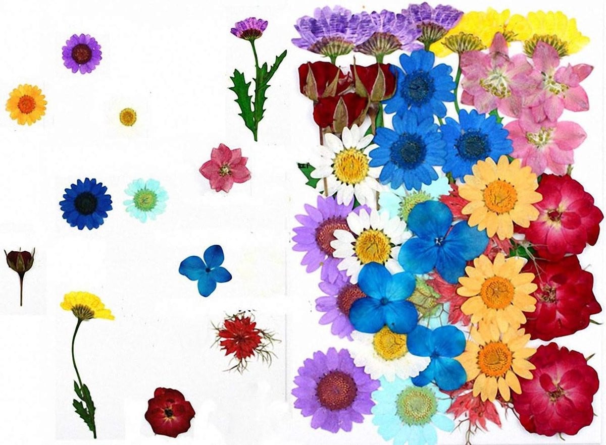 36 stuks gedroogde bloemen en bladeren voor natuurlijke decoratie in gemengde kleuren