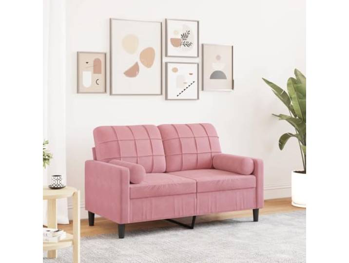 HEFZGDB 2-Sitzer Sofa 120 cm Rosa Samt mit Zierkissen, Bequemes Polstermöbel für Wohnzimmer, Abnehmbare Bezüge und Robustes Metallgestell, Modernes Design für Entspannung und Komfort