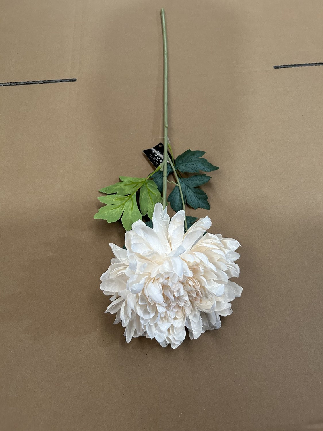 Kunstbloem gedroogde chrysant creme 64 cm