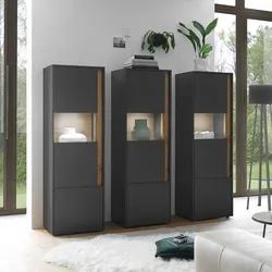 Design Wohnwand in Anthrazit und Wildeiche Optik modern (dreiteilig)