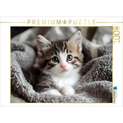 CALVENDO Puzzle Süsse kleine Babykatze | 1000 Teile Lege-Größe 64x48cm Foto-Puzzle für glückliche Stunden