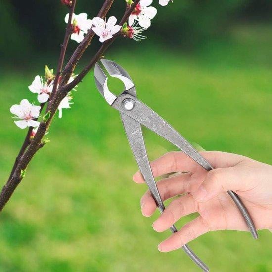 Bonsai takknijper 8 inch concave schaar in zilverkleurig staal