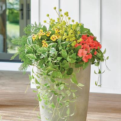 Feeling Vine Urn Filler - Grandin Road