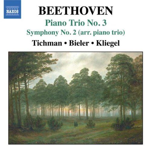 Xyrion Trio - Beethoven: Piano Trio No. 3; Symphony No. 2 - Preis vom 09.10.2026 07:28:09 h
