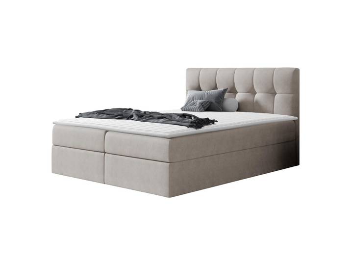 BOXBETT Rico - H3