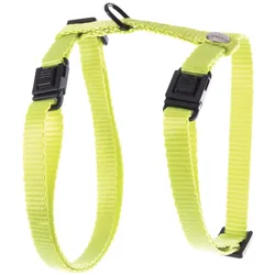 Martin Sellier Katzen-Geschirr Classic Nylon (50, Katze, Spazieren), Halsband + Leine