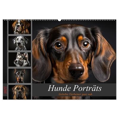 Hunde Porträts (Wandkalender 2027 DIN A2 quer), CALVENDO Monatskalender