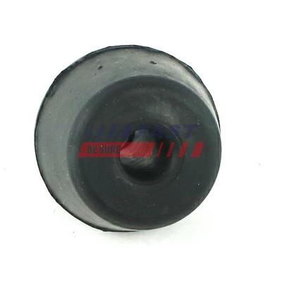 FAST Lagerung, Kühler FT13063 für RENAULT