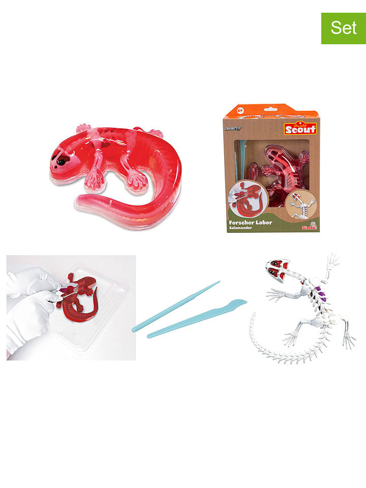 Simba Experimentierset ''Dissect-It - Salamander'' - ab 6 Jahren - onesize