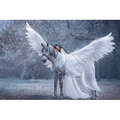 Fototapete PAPERMOON "Frau auf Pegasus", bunt, B:4m L:2,6m, Vlies, Tapeten