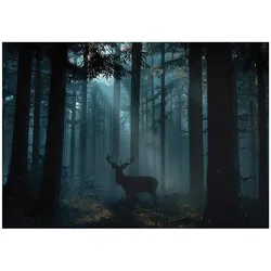FOTOTAPETE Wald Reh Grün 150x105 cm