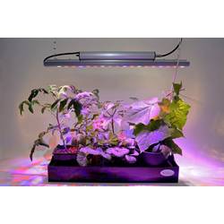 Venso LED-Pflanzenlampe Wachstum 65 cm 230 V LED fest eingebaut 35 W RGBW 1 St. E503 200