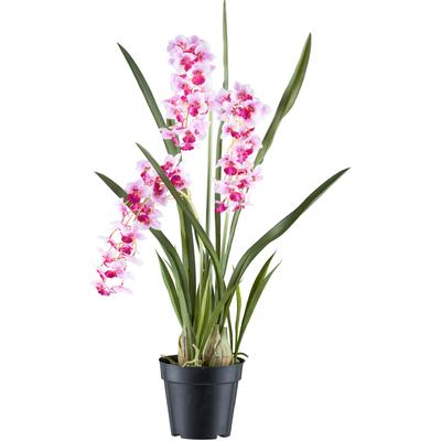Creativ green "Orchidee Cymbidie orientalis" mit zahlreichen real-touch-Blüten