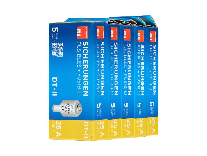 Max Hauri Sicherung 25A träge 500V Dt-Ii / 5 Stück