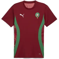 Puma, Herren, Fussballtrikot, FRMF Prematch SS Jersey (XS), Rot, Grün, Weiss