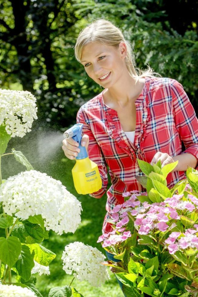 Gloria Feinsprüher Hobby 05 FLEX Sprühflasche mit Doppelhubpumpe 0,5 L