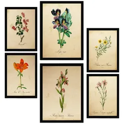 POSTER Set Mit 6 Botanica Frühlingszeit A3 & A4 Schwarzer Rahmen