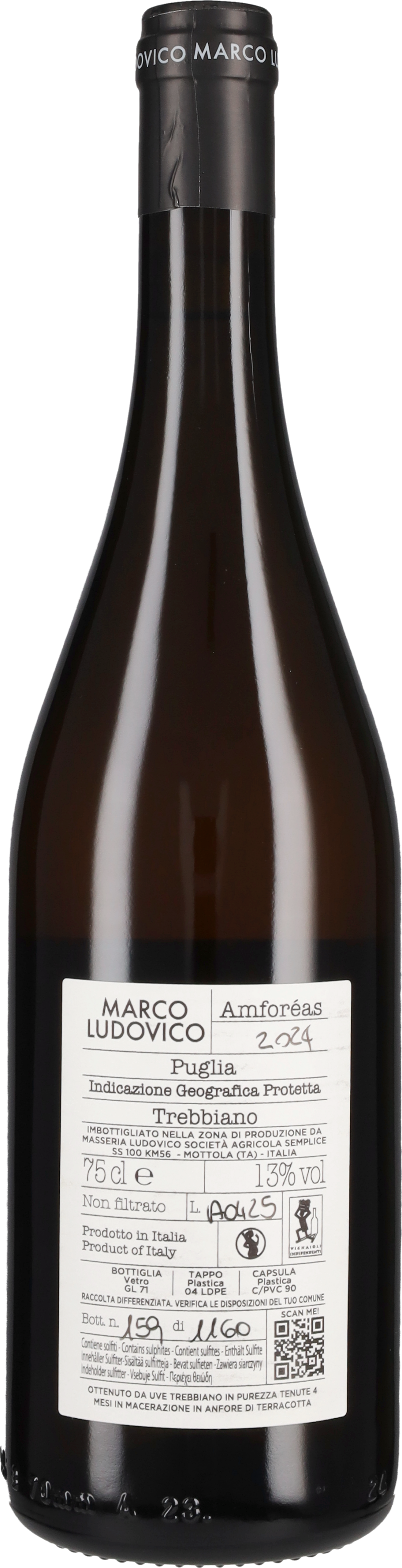 Trebbiano 'Amforeas' Marco Ludovico 2024