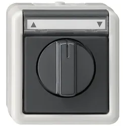 Gira Jalousietaster/Schalter grAP-WG 015430