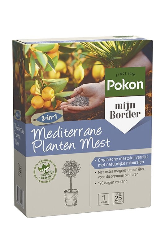 Pokon Mediterrane Planten Mest 1 kg