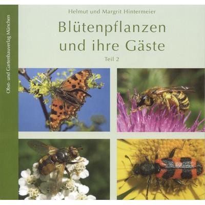 Blütenpflanzen und ihre Gäste - Teil 2, Taschenbuch von Helmut Hintermeier,Margit Hintermeier, Obst- und Gartenbauverlag des Bayerischen