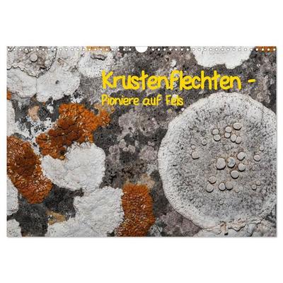Krustenflechten - Pioniere auf Fels (Wandkalender 2027 DIN A3 quer), CALVENDO Monatskalender