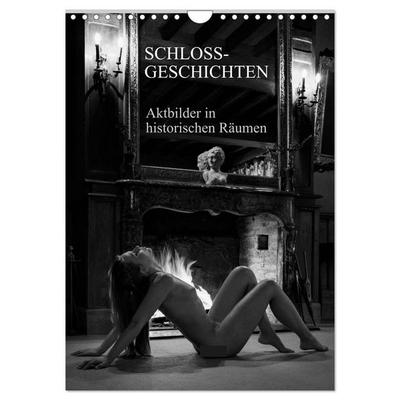 Schlossgeschichten - Aktbilder in historischen Räumen (Wandkalender 2027 DIN A4 hoch), CALVENDO Monatskalender