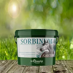 St. Hippolyt Sorbinum Calcium 10 kg - Zum Ausgleich von Calcium-Defiziten
