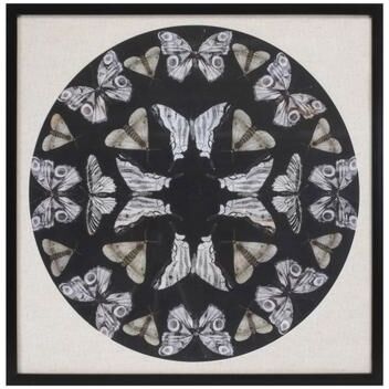 "Framed Butterfly Print 25""SQ by Melrose in Black Beige"