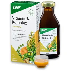 VITAMIN B KOMPLEX Tonikum Salus 250 ml