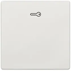 Siemens 5TG7148-1 DELTA style Wippe mit Symbol Türöffner, platinmetallic 5TG71481