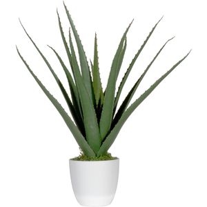 meet-powered-by-PAPERFLOW Kunstpflanze Aloe Vera, im Topf, Höhe 45 cm