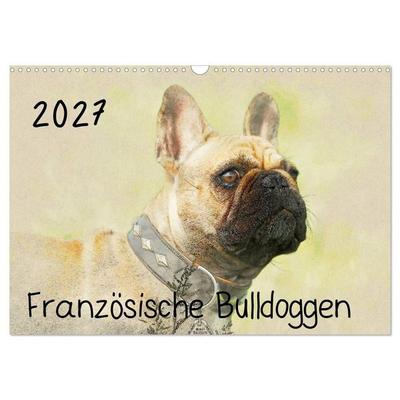 Französische Bulldoggen (Wandkalender 2027 DIN A3 quer), CALVENDO Monatskalender