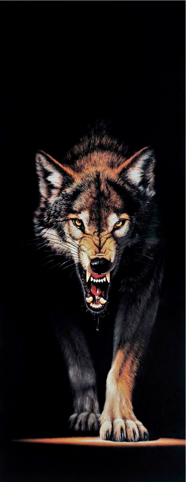Fototapete PAPERMOON "Wolf - Türtapete", bunt, B:0,9m L:2m, Vlies, Tapeten, Fototapete bunt B/L: 0,9m x 2m