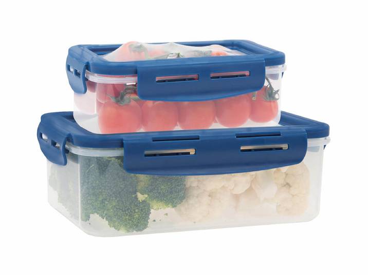 Livington Flex&Fresh Frischhaltedosen 2er-Set