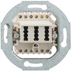 Rutenbeck TAE 2x6/6NFF Up0 rw Telefondose Telefon Schraubbefestigung Weiß 10310518