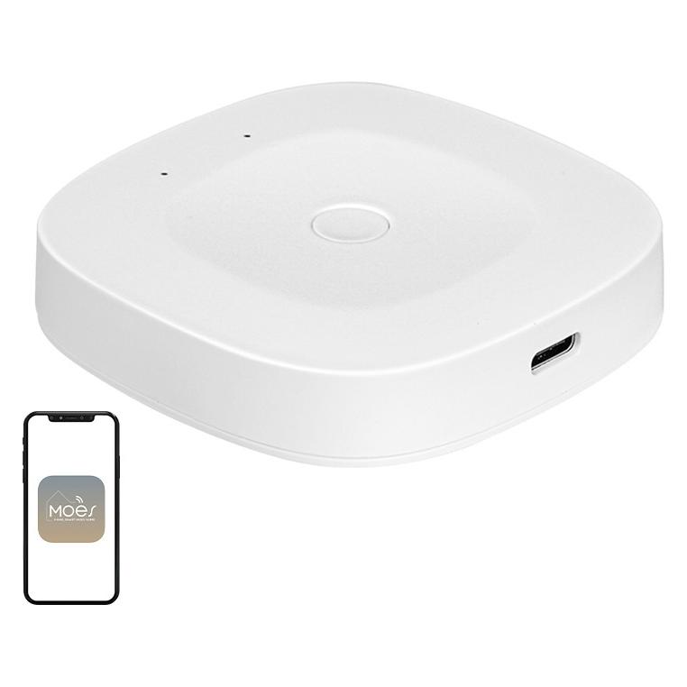 Moes ZHUB-C ZigBee/Ethernet-Gateway (ZHUB-C-MS)