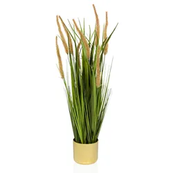 hjh OFFICE Kunstpflanze CORTADERIA I Kunststoff