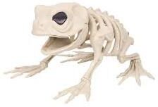 Uplift Picks Realistic Skeleton Wolf Halloween Animal Prop b