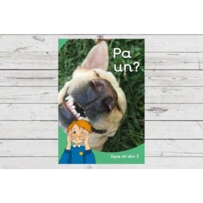 Dyna Chi Dric: Pa Un?, Taschenbuch von Aneirin Karadog,Eirian Lloyd Jones, Canolfan Peniarth, 978-1-78390-455-6