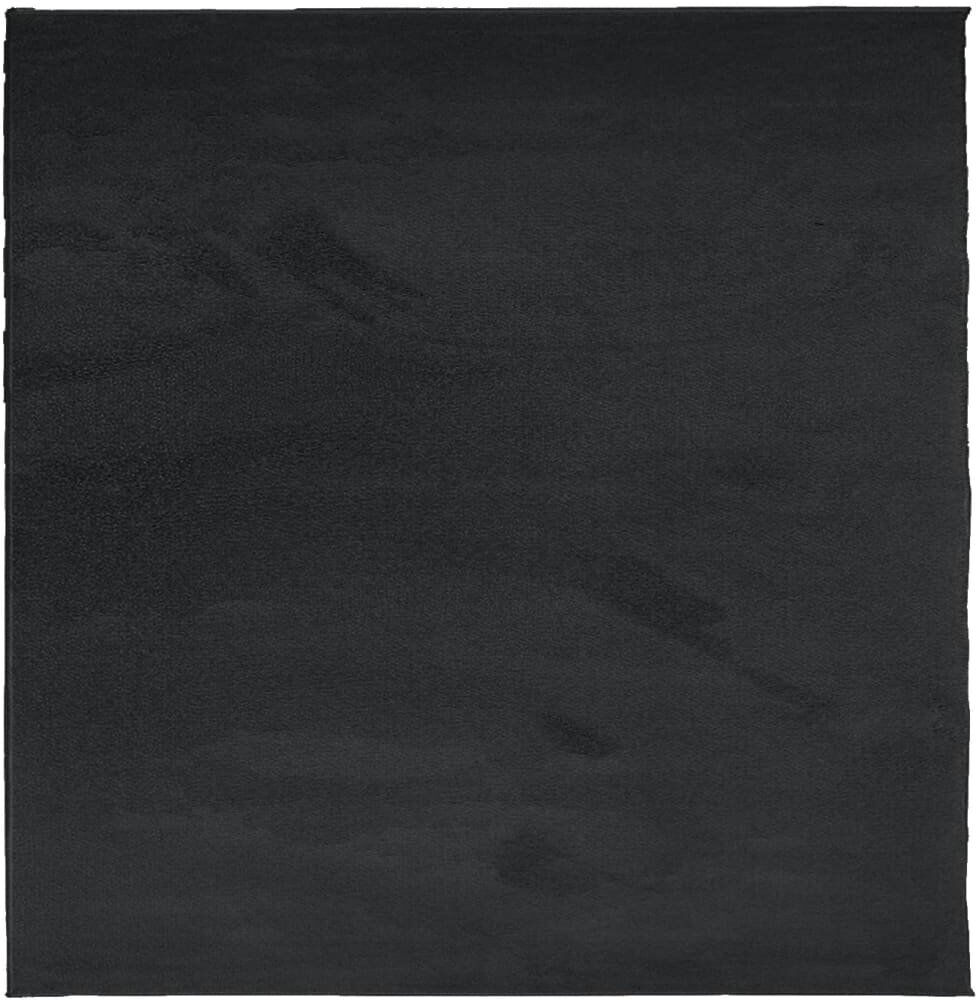 Brayden Studio Baia Area Rug Black Square 200cm
