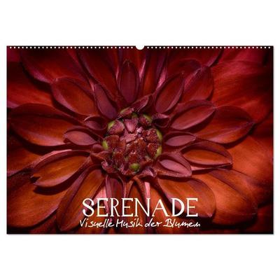 Serenade - Visuelle Musik der Blumen (Wandkalender 2026 DIN A2 quer), CALVENDO Monatskalender