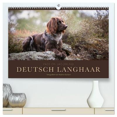 Passion Jagdhund - Deutsch Langhaar (hochwertiger Premium Wandkalender 2027 DIN A2 quer), Kunstdruck in Hochglanz