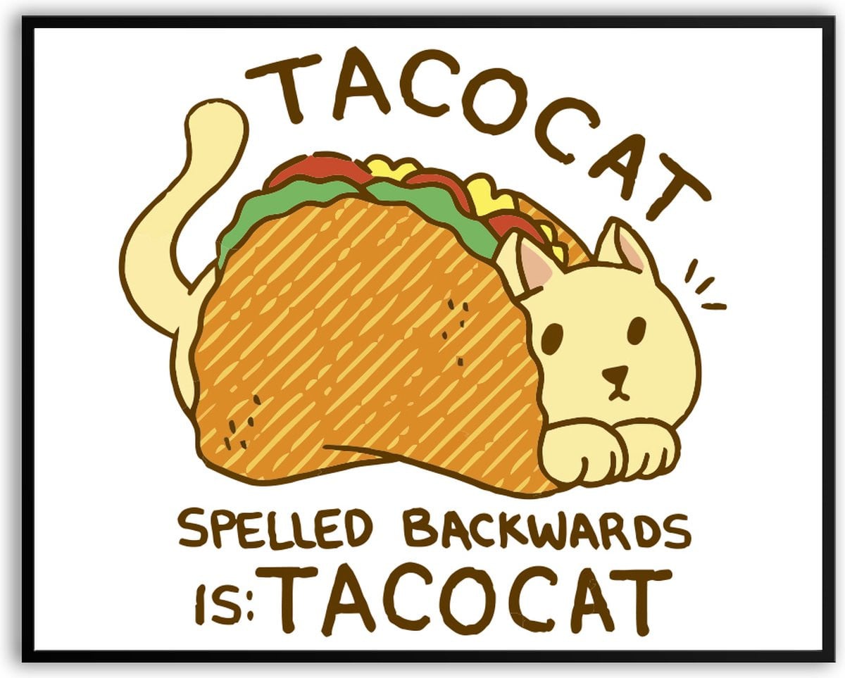 Tacocat fotolijst met glazen plaat en grappige poster van een kat, 40 x 50 cm