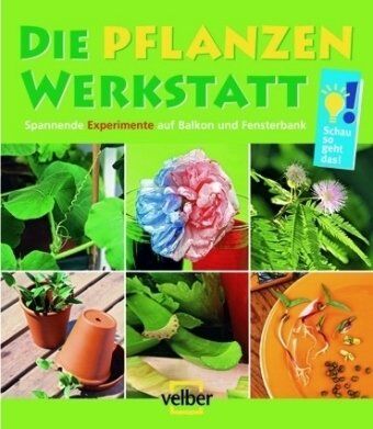 Ulrike Berger - Die Pflanzen-Werkstatt: Spannende Experimente auf Balkon und Fensterbank - Preis vom 09.10.2026 07:28:09 h